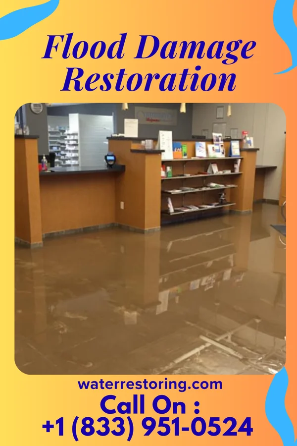 Flood Damage Restoration in Wailua, HI