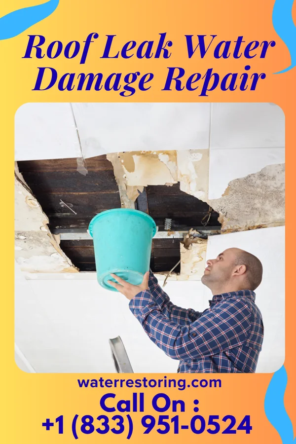 Roof Leak Water Damage Repair in Wailua, HI