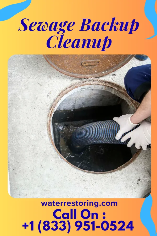 Sewage Backup Cleanup in Wailua, HI