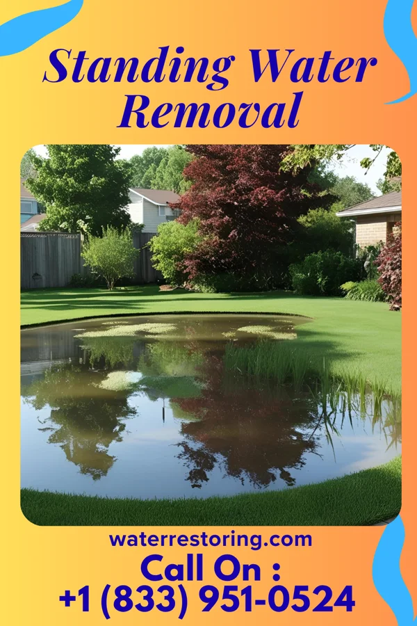 Standing Water Removal in Wailua, HI